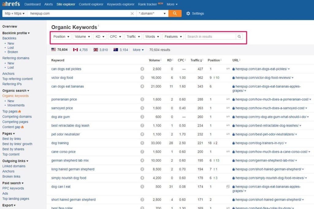 Ahrefs Competitor SERP Analysis