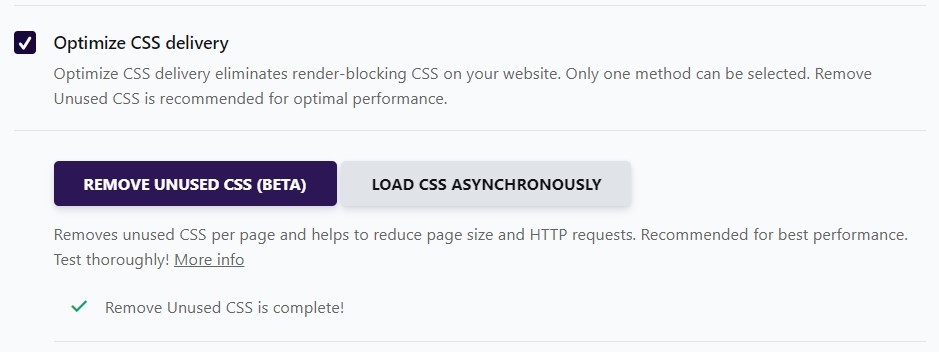 Wp Rocket Optimize Css Delivery