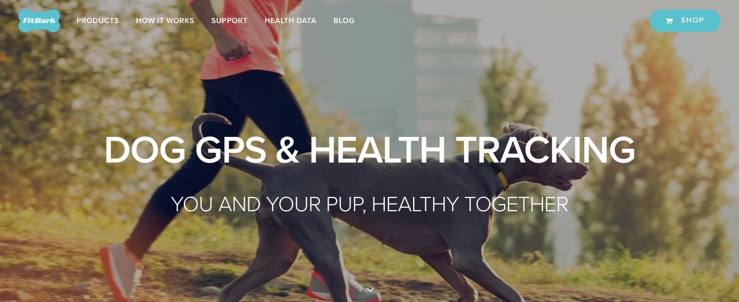 Fitbark Homepage