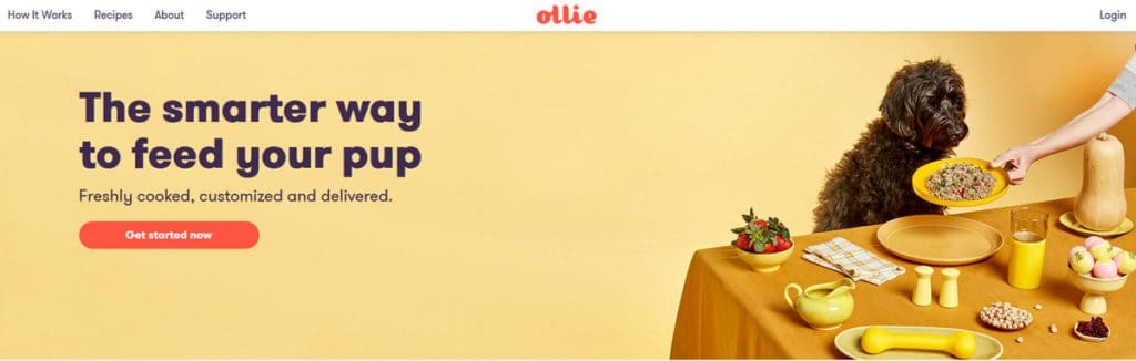 Ollie Homepage