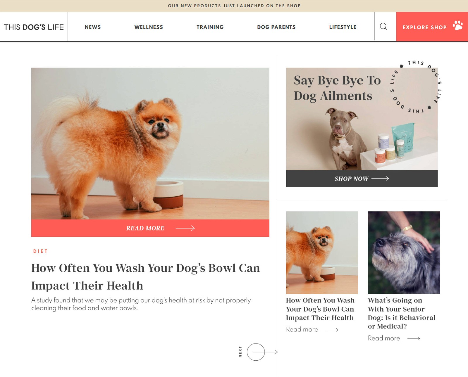 This Dogs Life Homepage squared