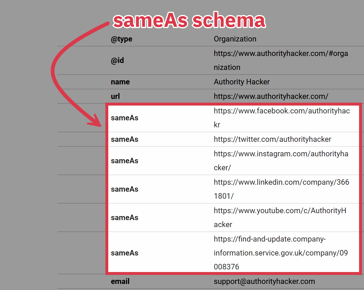 Authority Hacker's sameAs schema