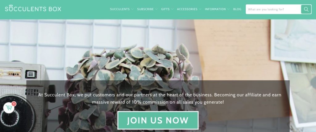 Succulent Box Homepage