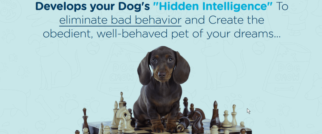 Brain Training For Dogs Homepage Screenshot