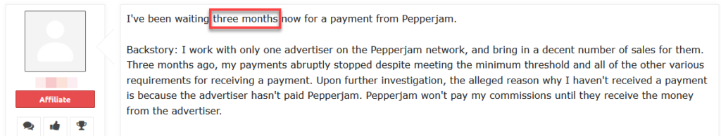 Pepperjam Affiliate Payment Review Comment