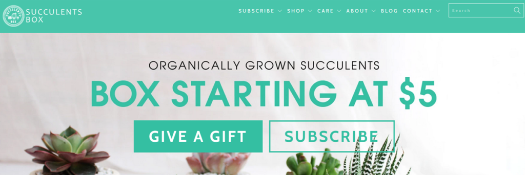 Succulents Box Homepage Screenshot