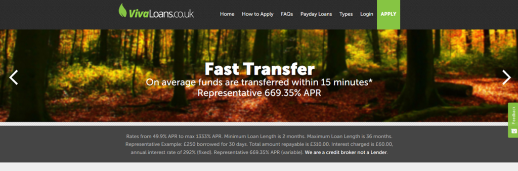 Viva Loans Homepage Screenshot