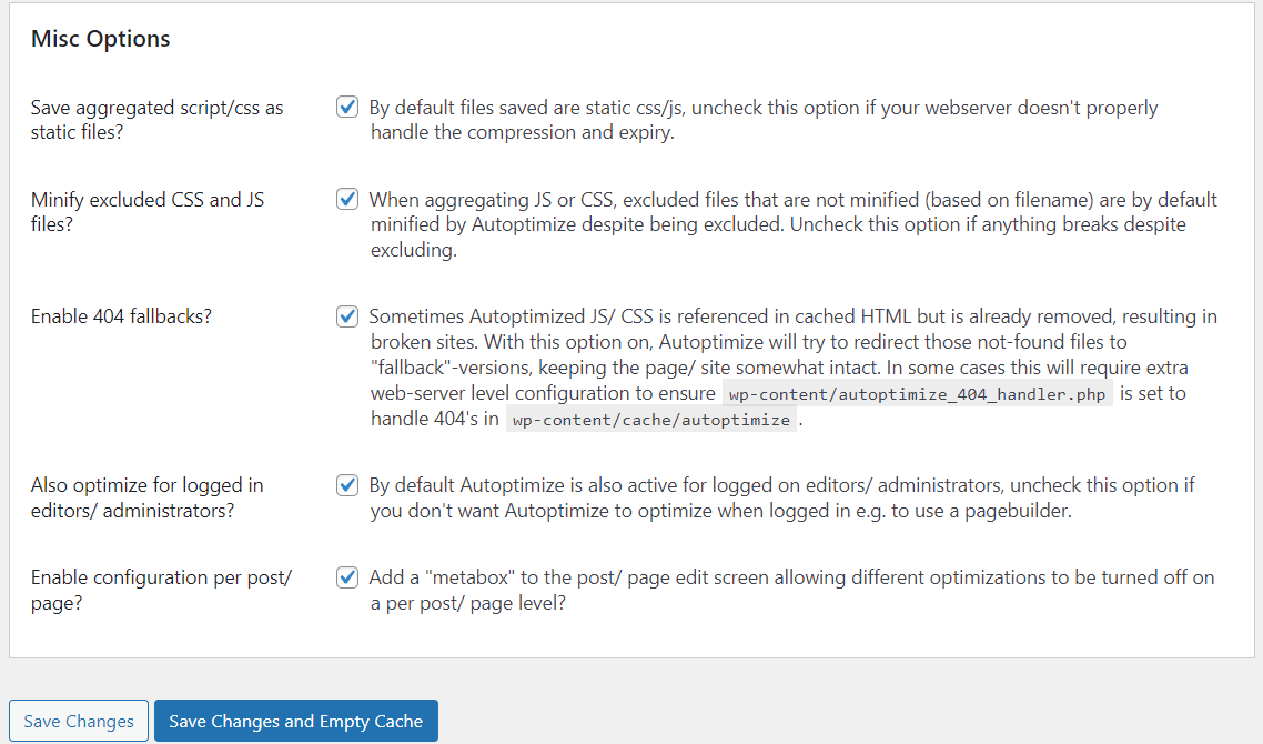 Autoptimize Caching Misc Options