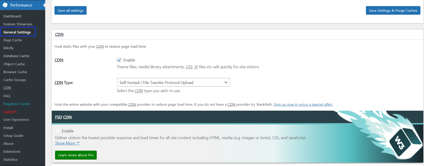 W3 Total Cache Plugin General Settings