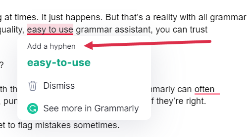 Grammarly Explanation Two