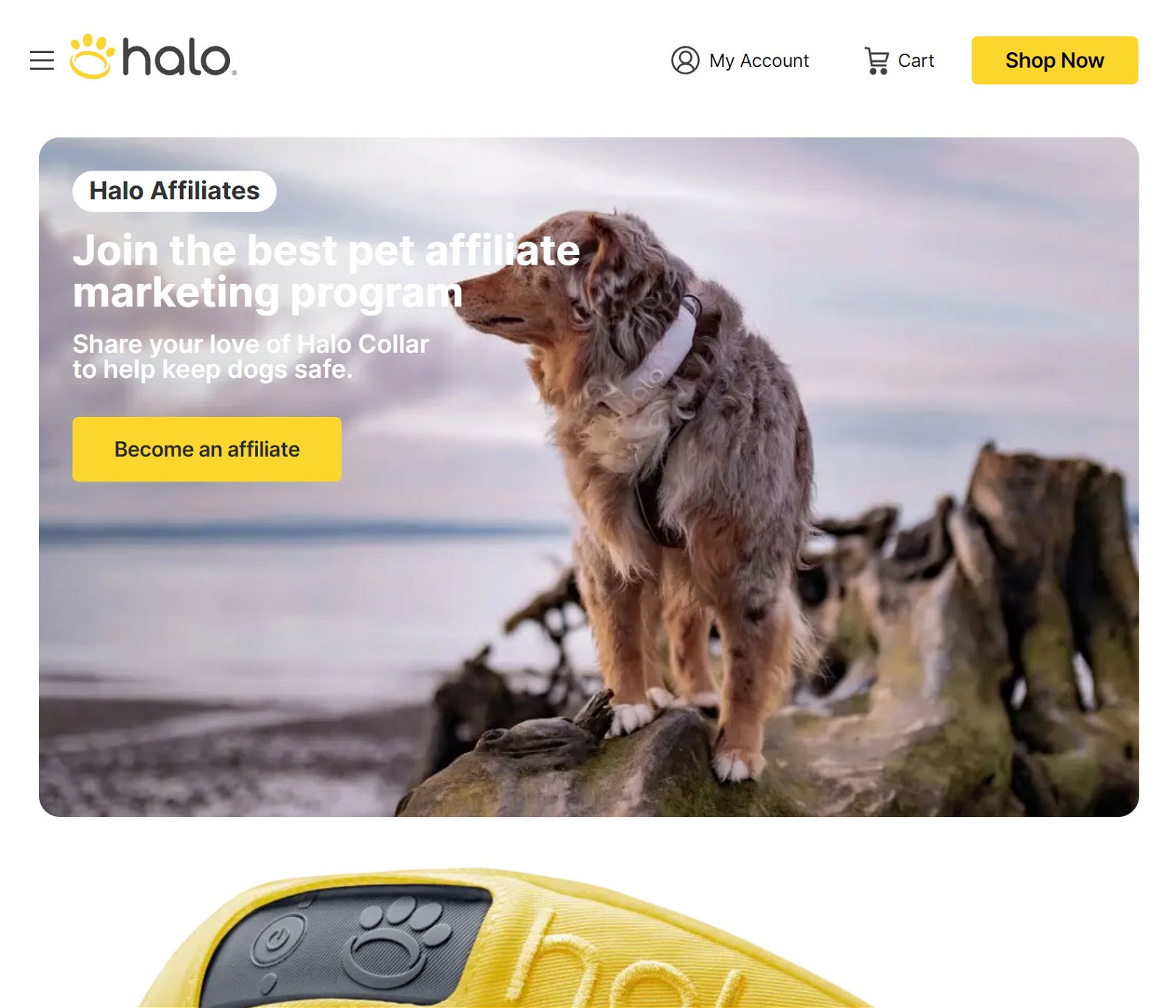 Halo Collar Affiliate Program