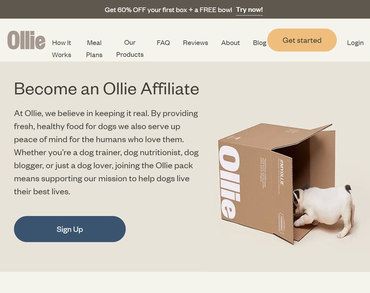 Ollie-Affiliate-Program