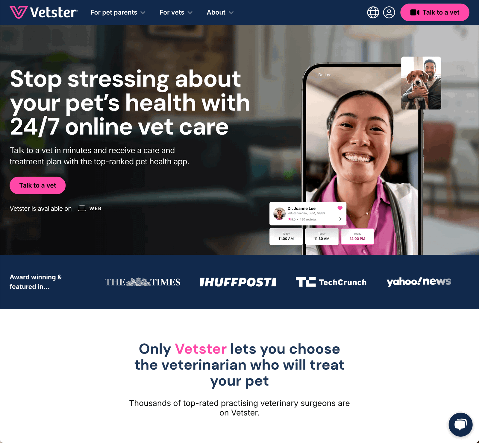 vetster homepage